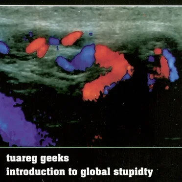 Introduction to Global Stupidity