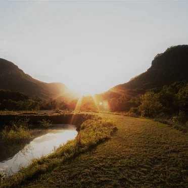 A Brief Vision of Light