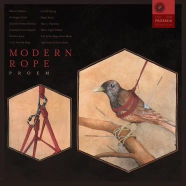Modern Rope by Proem - album cover