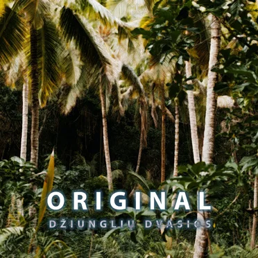 Original by Girių Dvasios - album cover
