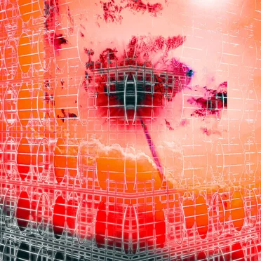 Shiny Beasts in Fractured Matrix 1