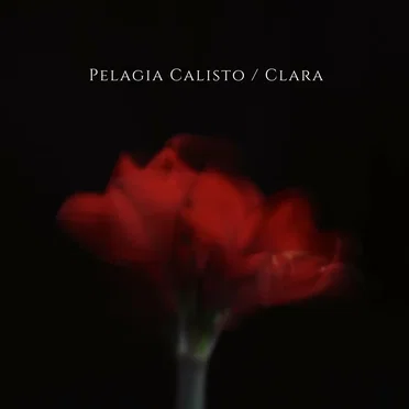 Clara by Pelagia Calisto - album cover