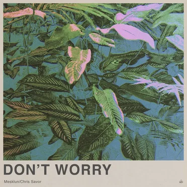 Don’t Worry by Mesklun - album cover