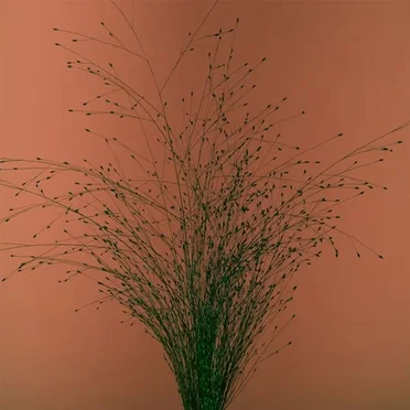 Tak mi się nie chce by Mikromusic - album cover