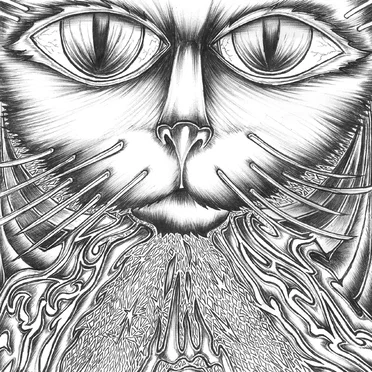 Ephemera (short) / Coconut II by Store Cats - album cover
