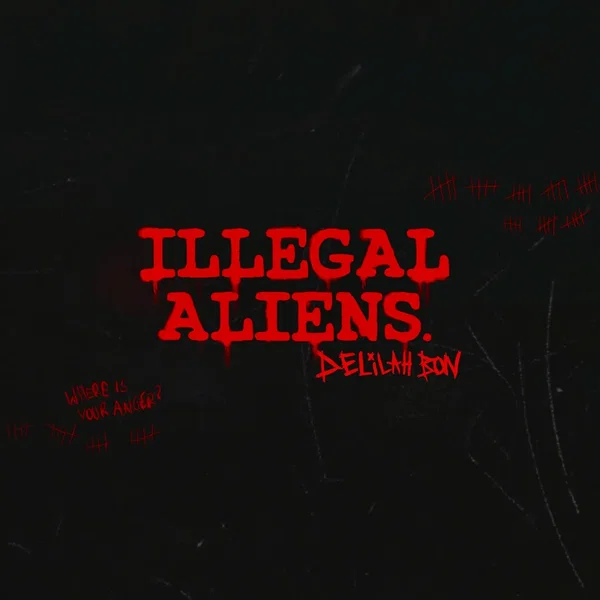 ILLEGAL ALIENS