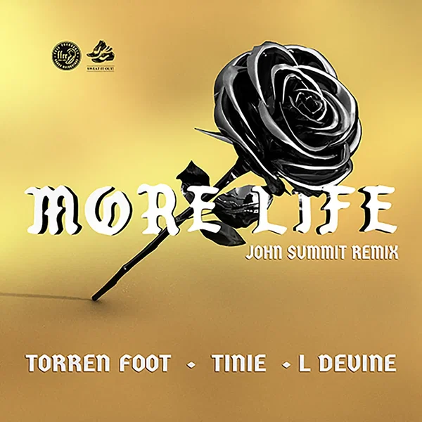 More Life (John Summit remix)