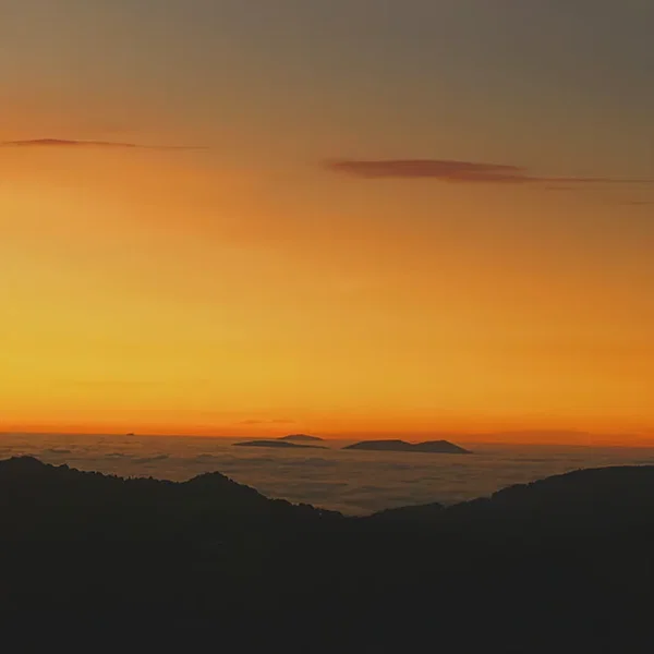 Alba