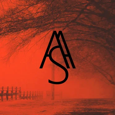 S o n a n t i s a q u a e