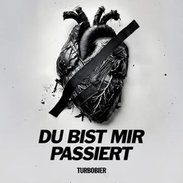 Du bist mir passiert