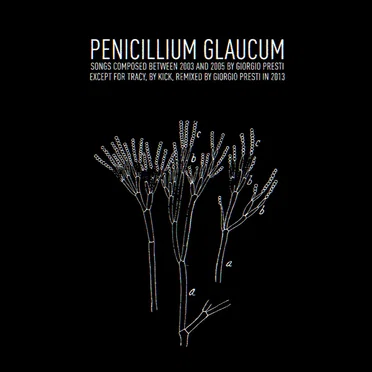 Penicillium Glaucum