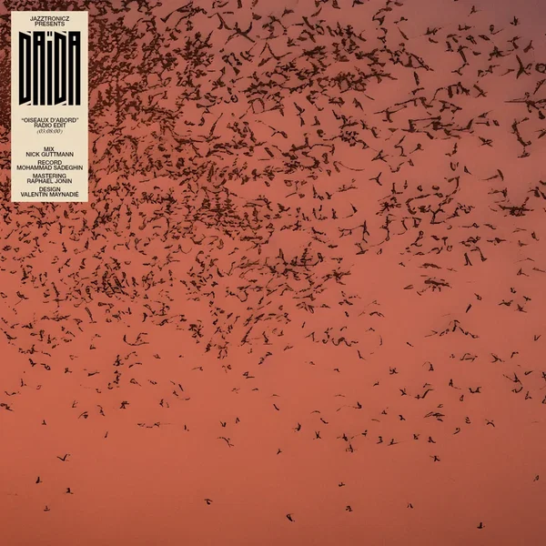 Oiseaux d’abord