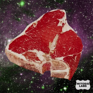 Mitosis Labs by Malaria Labs - album cover