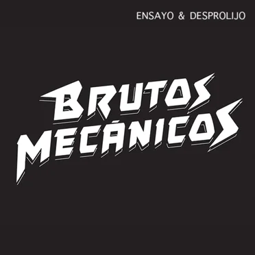Ensayo y desprolijo