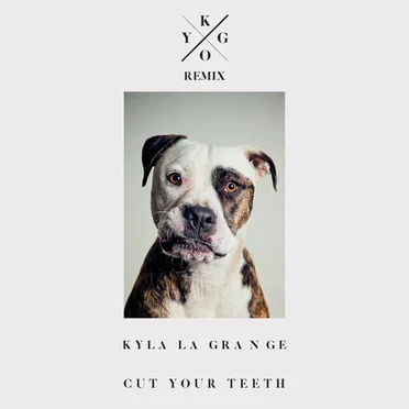 Cut Your Teeth (Kygo remix)