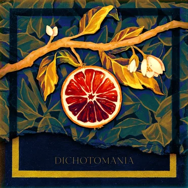 Dichotomania