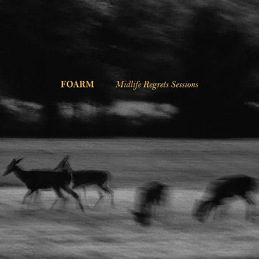 Midlife Regrets Sessions by Foarm - album cover