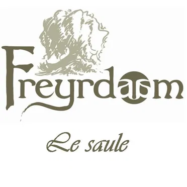 Le saule by Freyrdaam - album cover