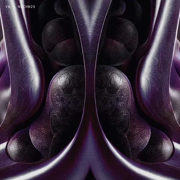 NECH025 by Various Artists - album cover
