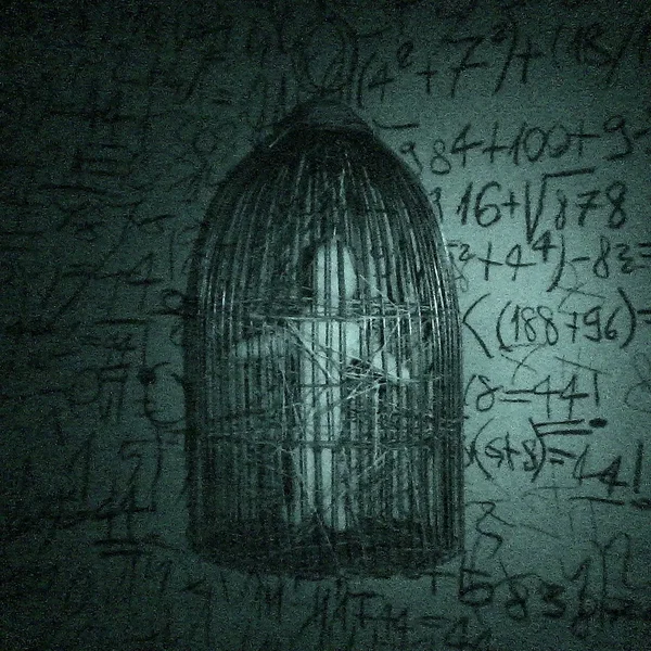 P4R4N01D