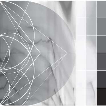 Assimilating the Shadow by Ricardo Donoso - album cover