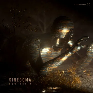 Now What? by Sinegoma - album cover