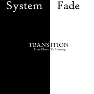 Transition: From Chaos to Meaning