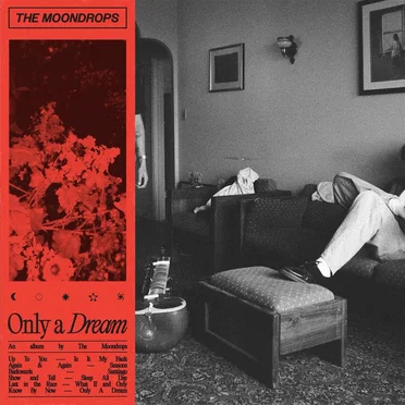Only A Dream by The Moondrops - album cover