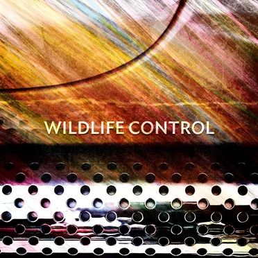 Wildlife Control by Wildlife Control - album cover