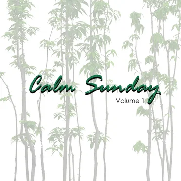 Calm Sunday, Vol. 1 by Various Artists - album cover