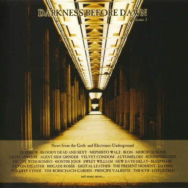 Darkness Before Dawn, Volume 3 by Various Artists - album cover