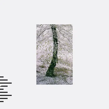 Our Recently Acquired Knowledge by Observatories - album cover