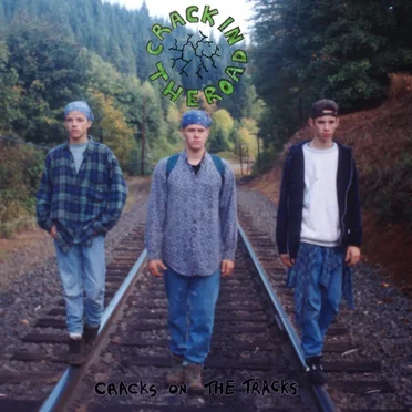 Cracks On The Tracks