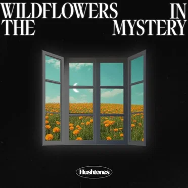 Wildflowers In The Mystery