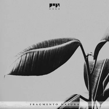 Fragmento Natura by Various Artists - album cover