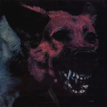vermin