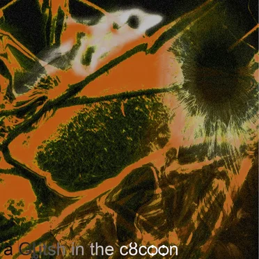 ѯ Ǥȴitsh in the cȣcѻѻn