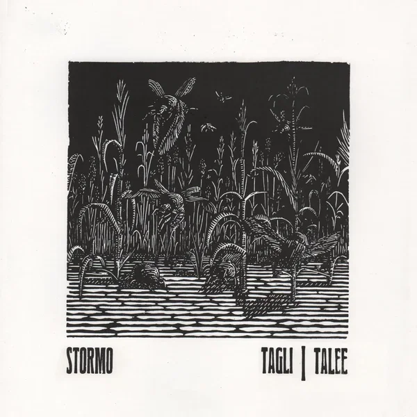 Tagli / Talee
