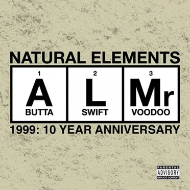 1999: 10 Year Anniversary by Natural Elements - album cover