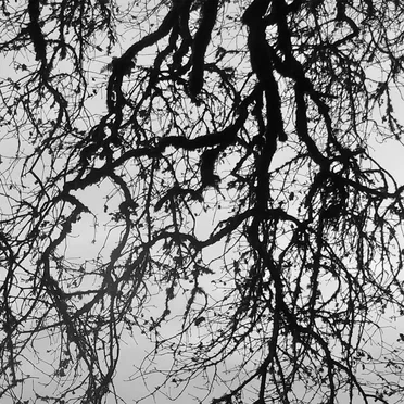 Raw Recording Series