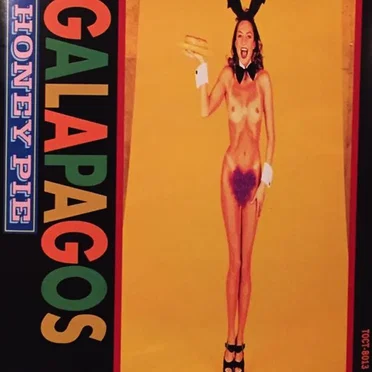 HONEY PIE by GALAPAGOS - album cover
