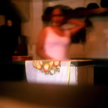 Meditation Upon Meditations: The Japanese Diaries