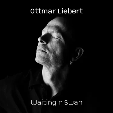 Waiting n Swan