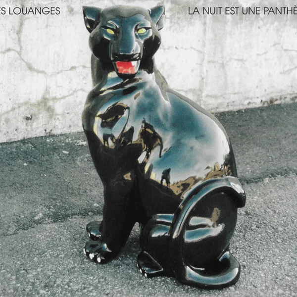 La nuit est une panthère