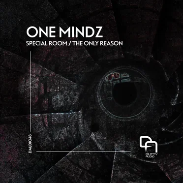 Special Room / The Only Reason by One Mindz - album cover