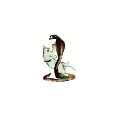 The Cat and the Cobra