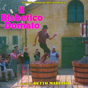 Il bisbetico domato