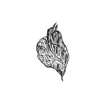 The pieces of my heart that are pieces of yours