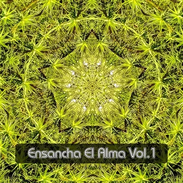 Ensancha El Alma Vol. 1 by Various Artists - album cover