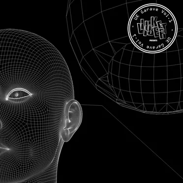 Luke Vibert presents UK Garave, Vol. 1